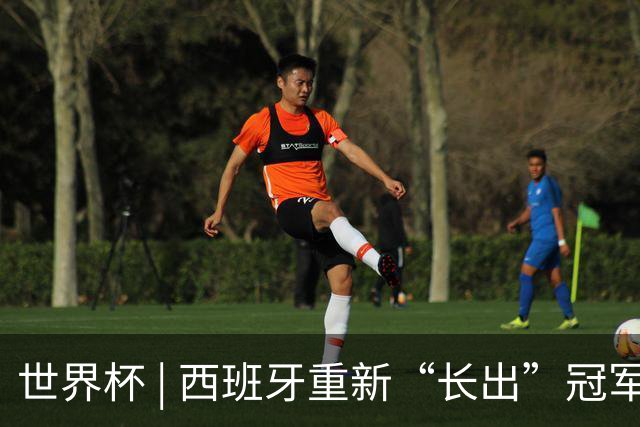 世界杯 | 西班牙重新“长出”冠军