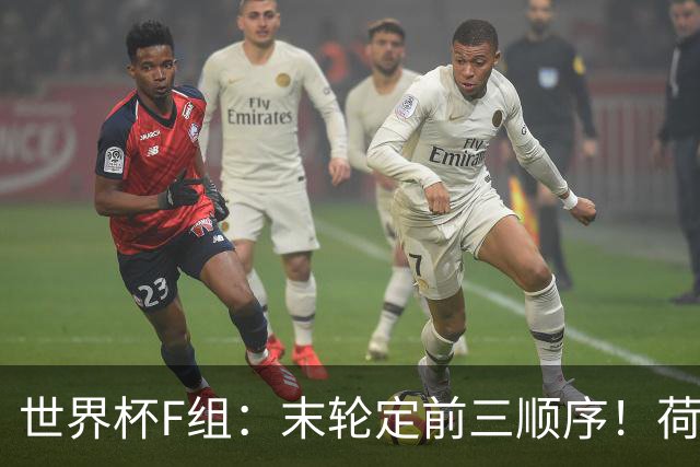 世界杯F组：末轮定前三顺序！荷兰形势大好+日本瑞典厮杀