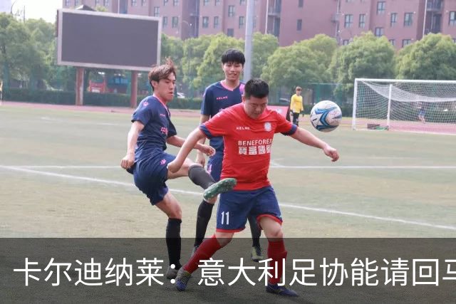 卡尔迪纳莱：意大利足协能请回马尔蒂尼，说明他们开始醒悟了