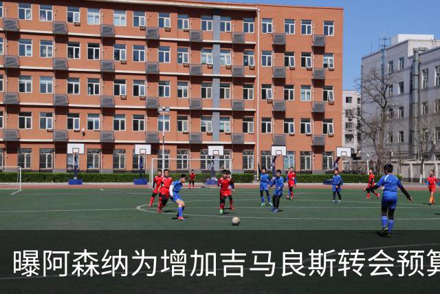 曝阿森纳为增加吉马良斯转会预算 马丁内利等五人或离队