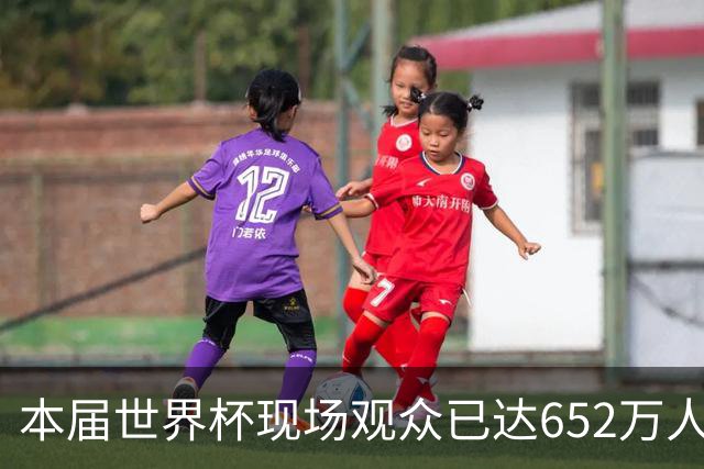 本届世界杯现场观众已达652万人 超越过去两届总和