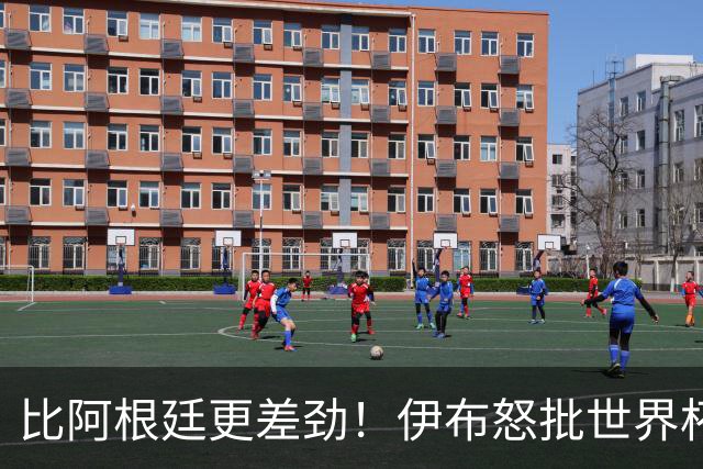 比阿根廷更差劲！伊布怒批世界杯大乱斗：西班牙全队太软弱！