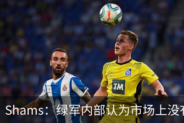Shams：绿军内部认为市场上没有比乔治+选秀权换布朗更好的报价